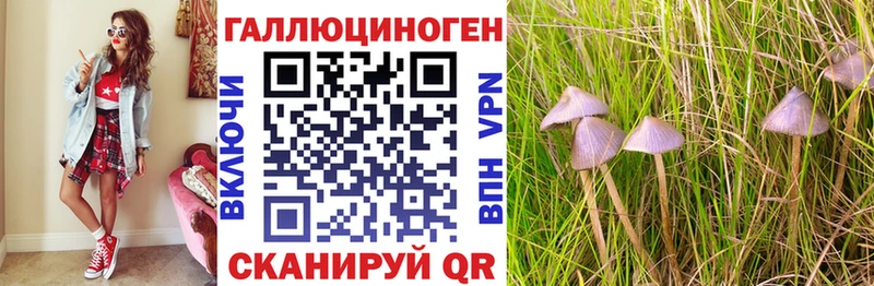 Купить где  Калтан  Псилоцибиновые грибы мицелий 
