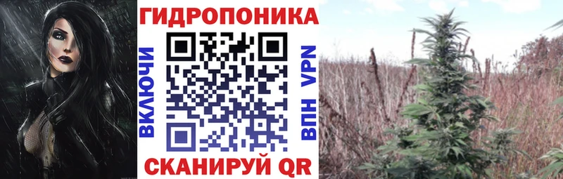 Купить где  Калтан  МАРИХУАНА OG Kush 